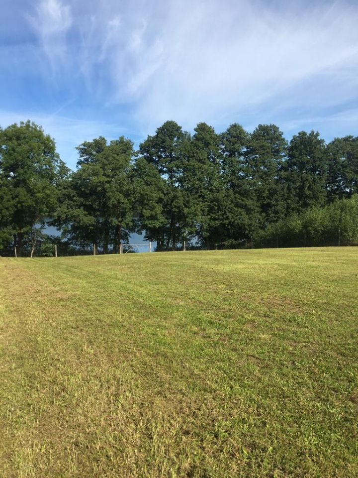 Działka rolno-budowlana Strączno. Zdjęcie 7