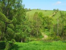 Działka rolna Chyrowa. Zdjęcie 1