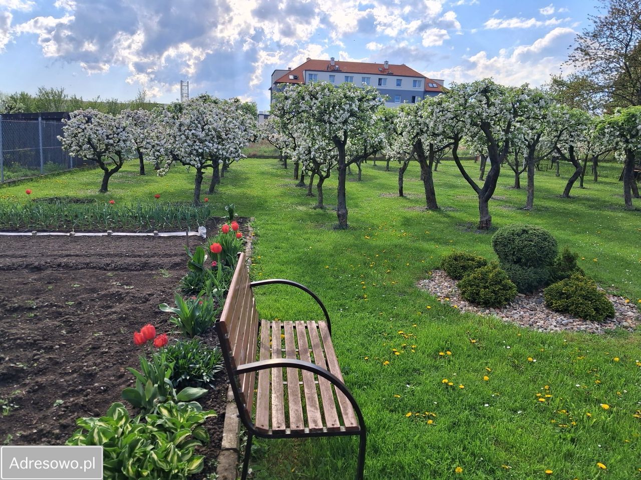 dom wolnostojący, 7 pokoi Świdnica, ul. Zachodnia. Zdjęcie 2