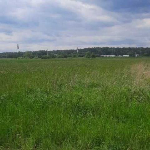 Działka budowlana Stanisławice. Zdjęcie 1