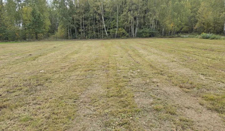 Działka rolno-budowlana Pałęgi