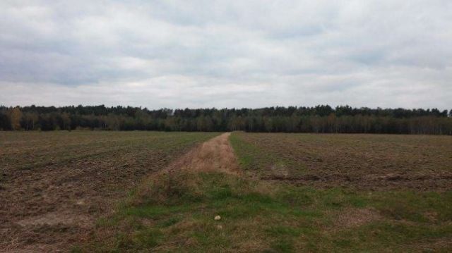 Działka rolna Liciążna. Zdjęcie 1