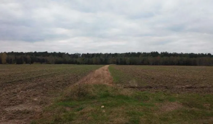 Działka rolna Liciążna