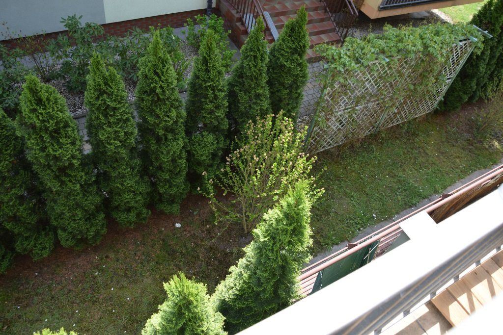 Mieszkanie 1-pokojowe Kraków Dębniki, ul. Torfowa. Zdjęcie 13