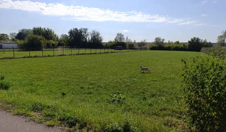 Działka budowlana Stare Orzechowo