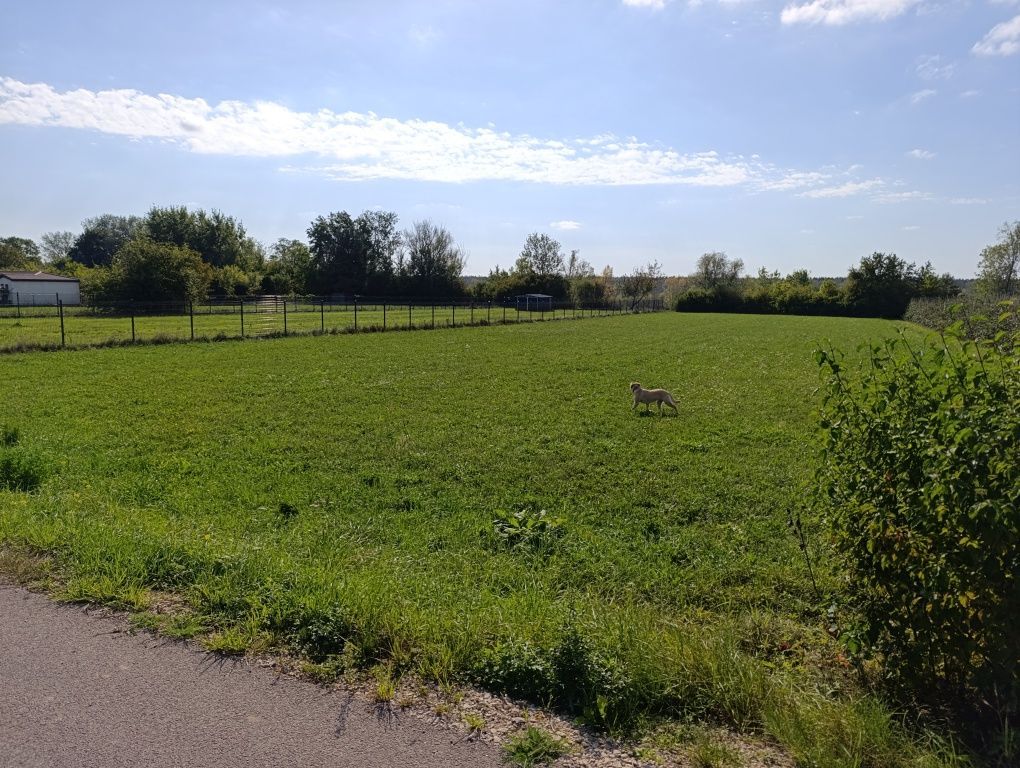 Działka budowlana Stare Orzechowo