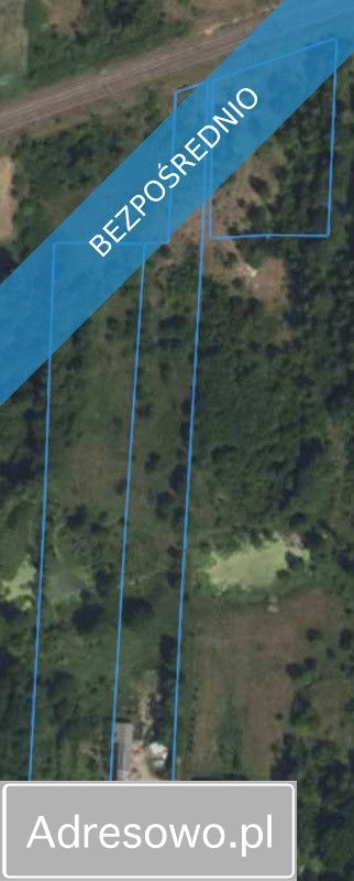 Działka rolno-budowlana Suchostruga. Zdjęcie 1