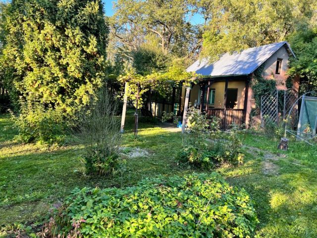 Działka rod Osiek. Zdjęcie 1