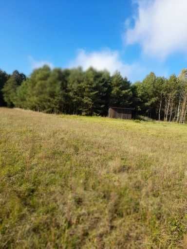 Działka budowlana Piszczac-Kolonia. Zdjęcie 3