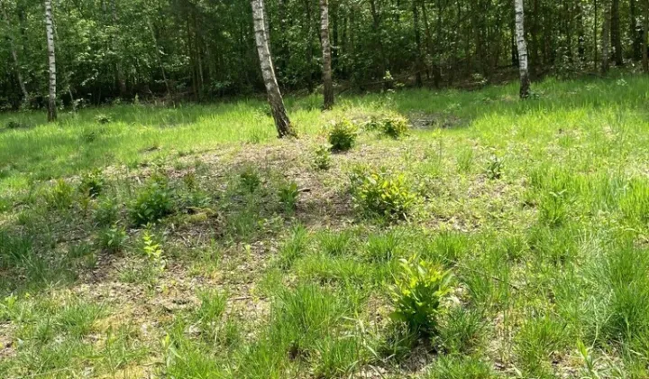 Działka budowlana Sobieńki