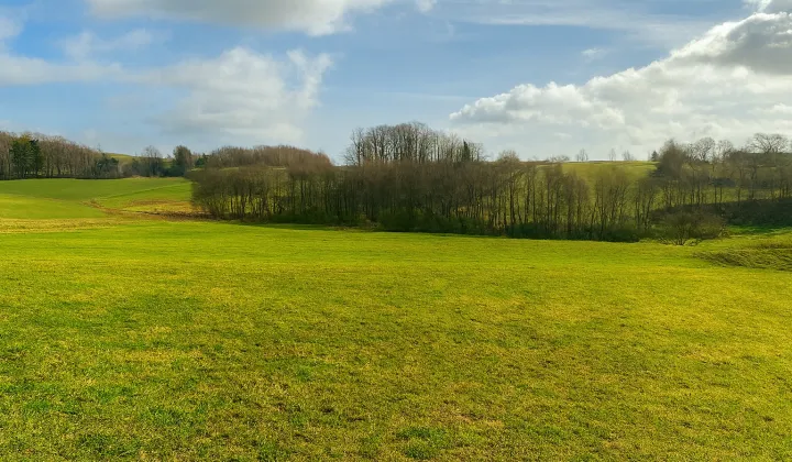 Działka budowlana Szarłata Czarna Huta, ul. Jeziorna