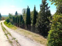 Działka rod Gorzów Wielkopolski. Zdjęcie 1