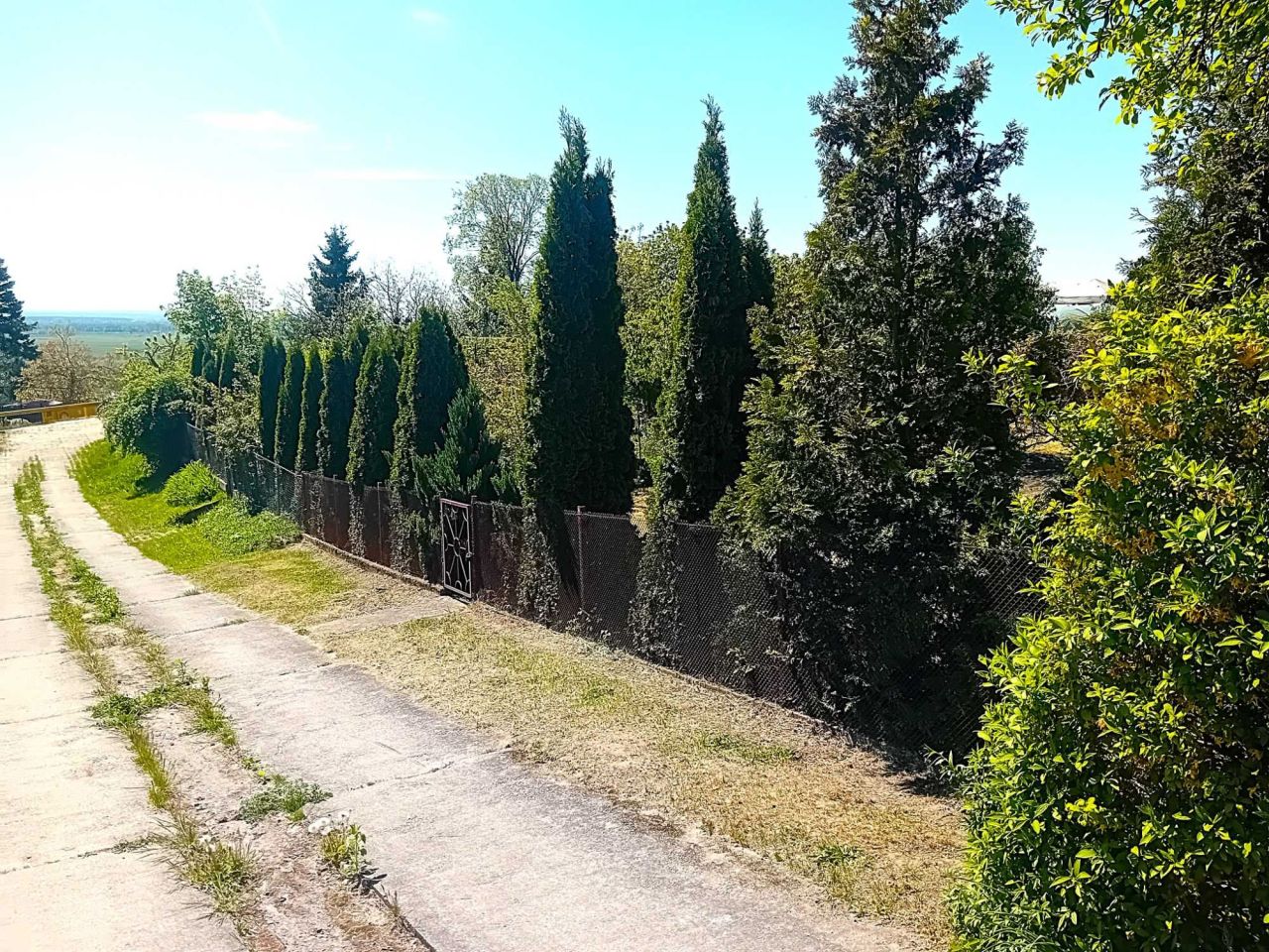Działka rod Gorzów Wielkopolski. Zdjęcie 2