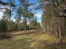 Działka rekreacyjna Szczawin. Zdjęcie 2