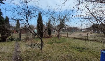 Działka rod Wilkszyn, ul. Wilkszyńska