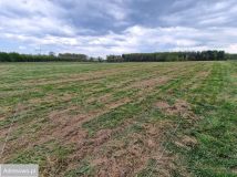 Działka rolna Żuławka. Zdjęcie 4