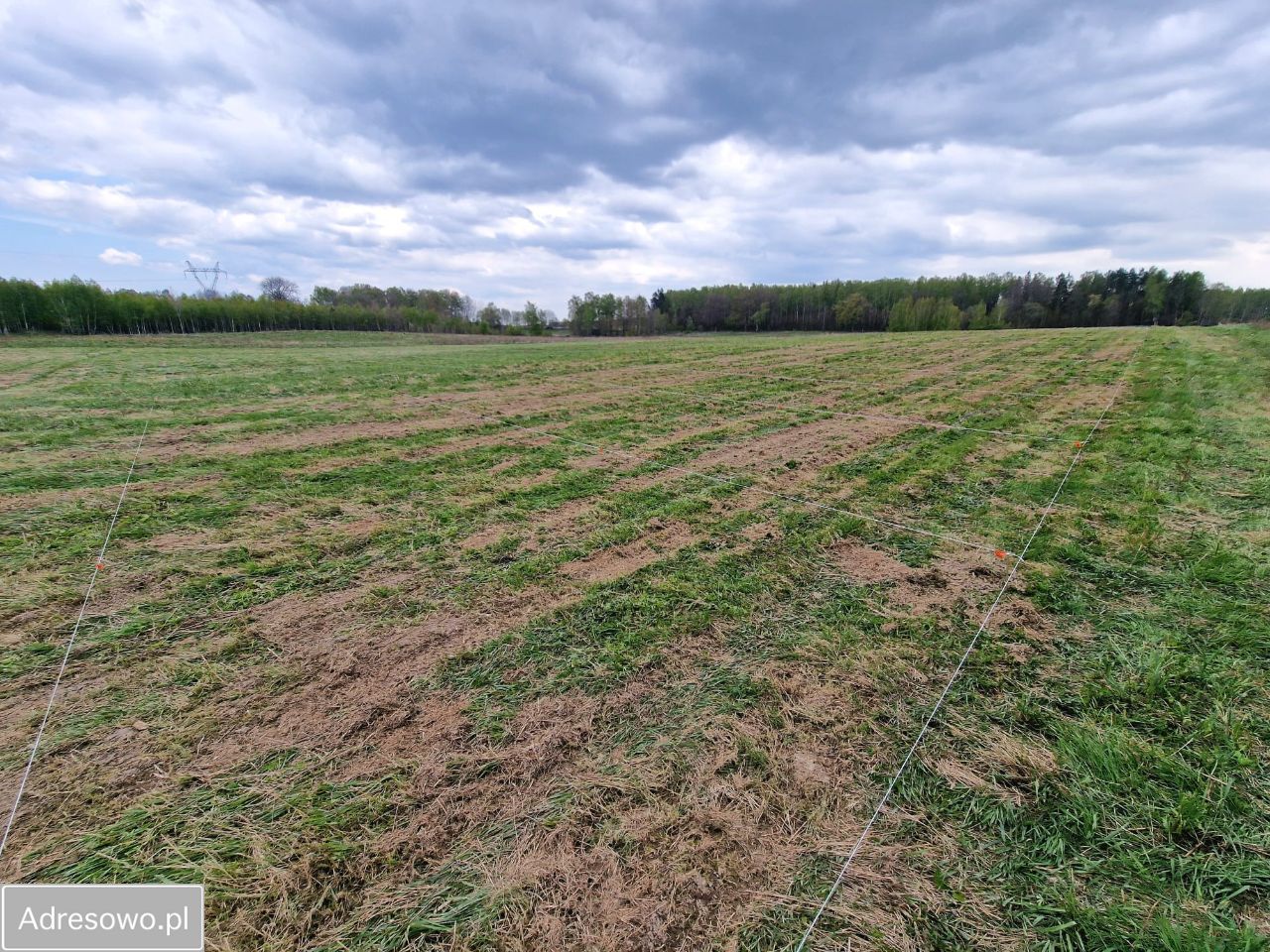 Działka rolna Żuławka. Zdjęcie 5