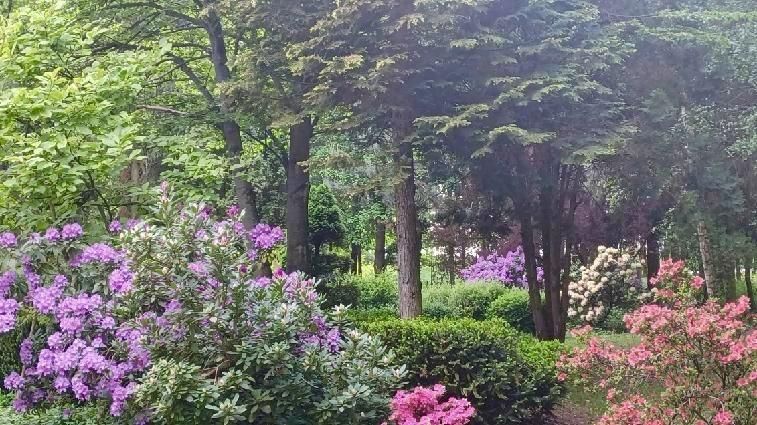 Działka rekreacyjna Siemianów. Zdjęcie 8