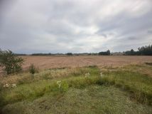 Działka rolna Pozezdrze, ul. Wolności