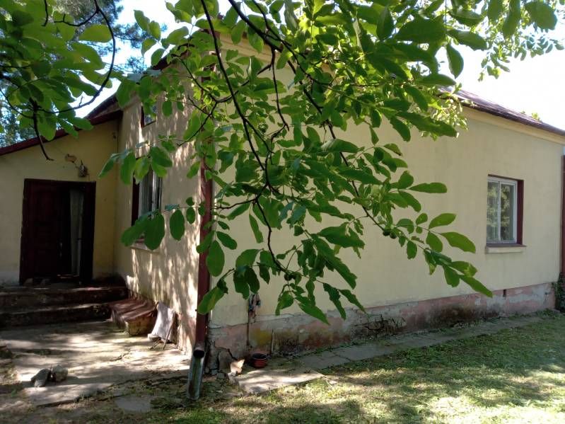 Działka siedliskowa Żabcze. Zdjęcie 8