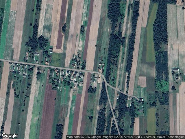 Działka siedliskowa Szlachecki Las. Zdjęcie 1