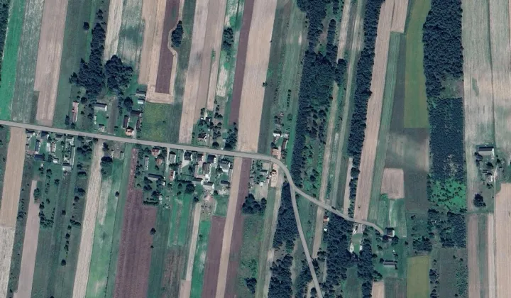 Działka siedliskowa Szlachecki Las