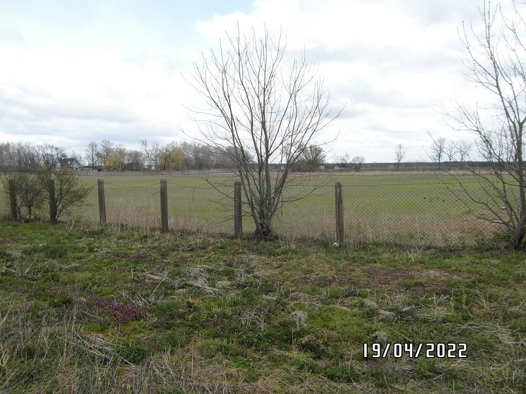 Działka rolno-budowlana Niedrzew Drugi. Zdjęcie 9