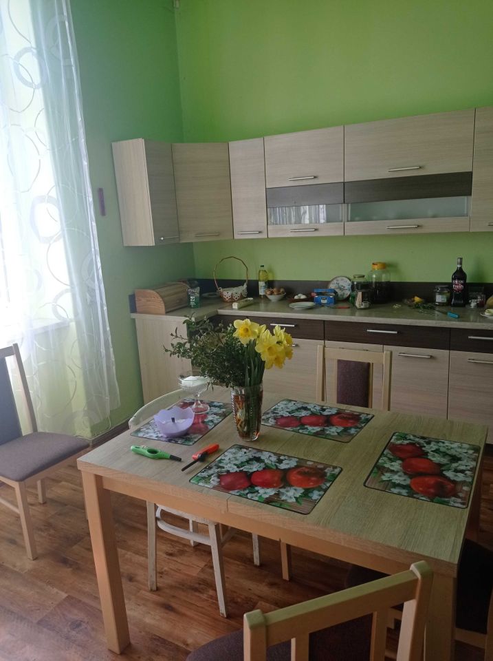 Mieszkanie 2-pokojowe Pisarzowice. Zdjęcie 3