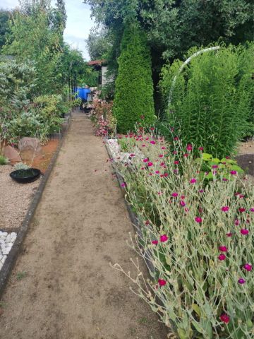 Działka rod Wrocław Krzyki, ul. Wiaduktowa. Zdjęcie 1