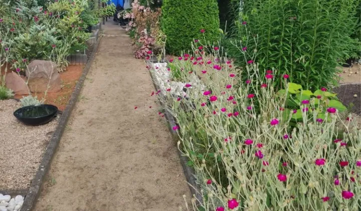 Działka rod Wrocław Krzyki, ul. Wiaduktowa