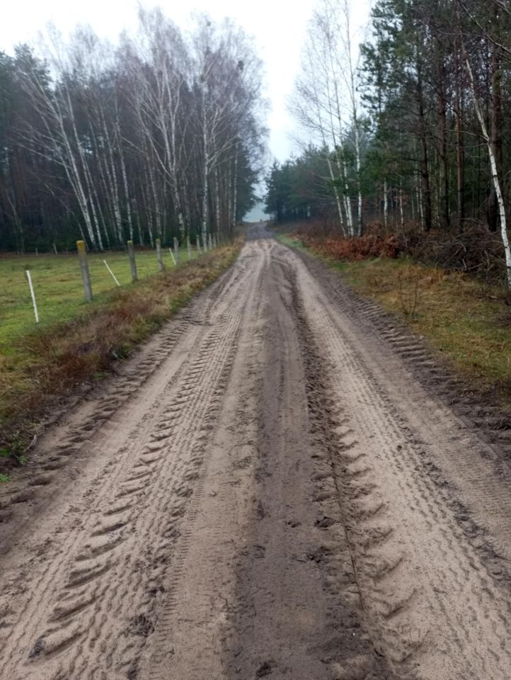 Działka rolno-budowlana Sojczyn Borowy. Zdjęcie 6