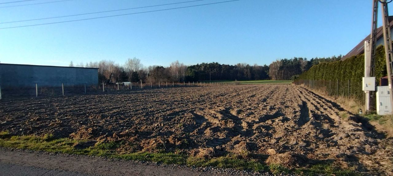 Działka budowlana Trzcianna. Zdjęcie 2