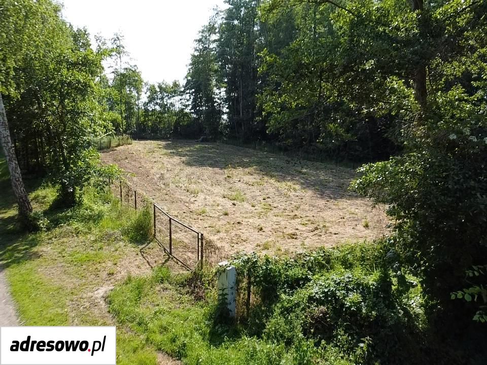 Działka budowlana Dąbrowa. Zdjęcie 1
