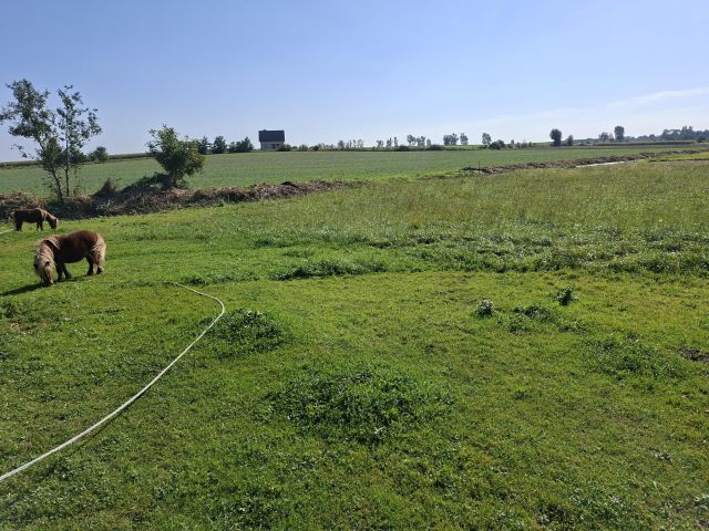 Działka budowlana Skoków. Zdjęcie 1