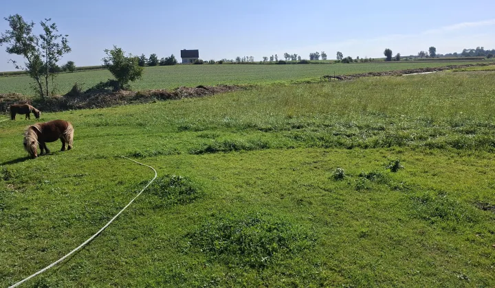 Działka budowlana Skoków