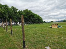 Działka budowlana Bystrzyca Kłodzka. Zdjęcie 4