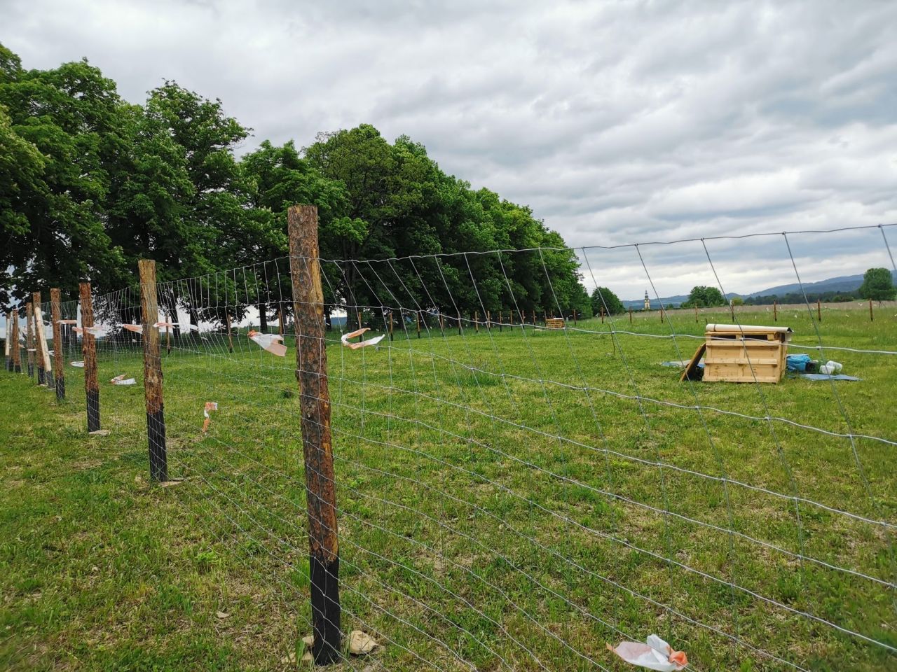 Działka budowlana Bystrzyca Kłodzka. Zdjęcie 5