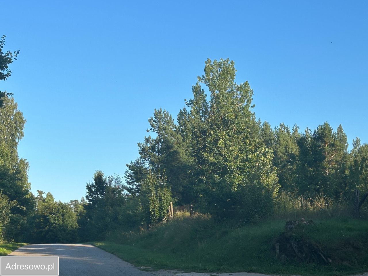 Działka rekreacyjna Klimczyce-Kolonia. Zdjęcie 2