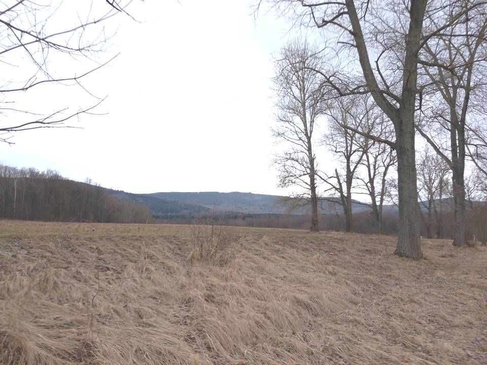 Działka budowlana Starkówek. Zdjęcie 13