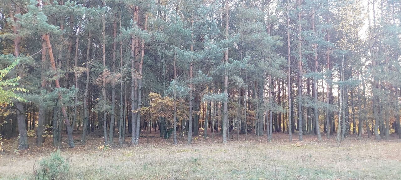 Działka budowlana Słopsk, ul. Pólko. Zdjęcie 4