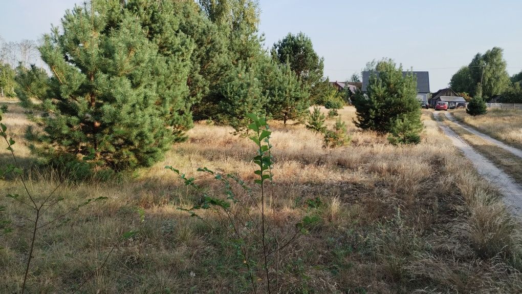 Działka budowlana Przyłęki. Zdjęcie 2