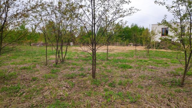 Działka budowlana Józefów. Zdjęcie 9