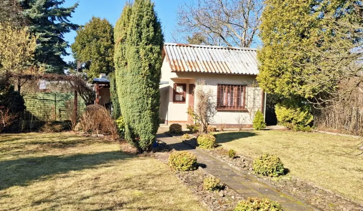 Działka rod Sosnowiec Zagórze, ul. gen. Mariusza Zaruskiego