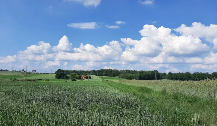 Działka rolno-budowlana Wieszowa, ul. Jagodowa