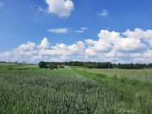 Działka rolno-budowlana Wieszowa, ul. Jagodowa