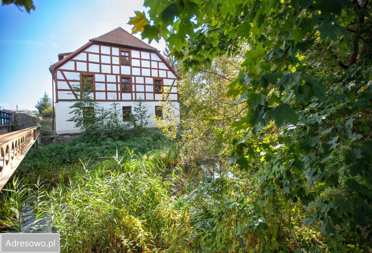 Nieruchomość komercyjna Babigoszcz. Zdjęcie 13