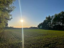 Działka budowlana Krogule. Zdjęcie 3