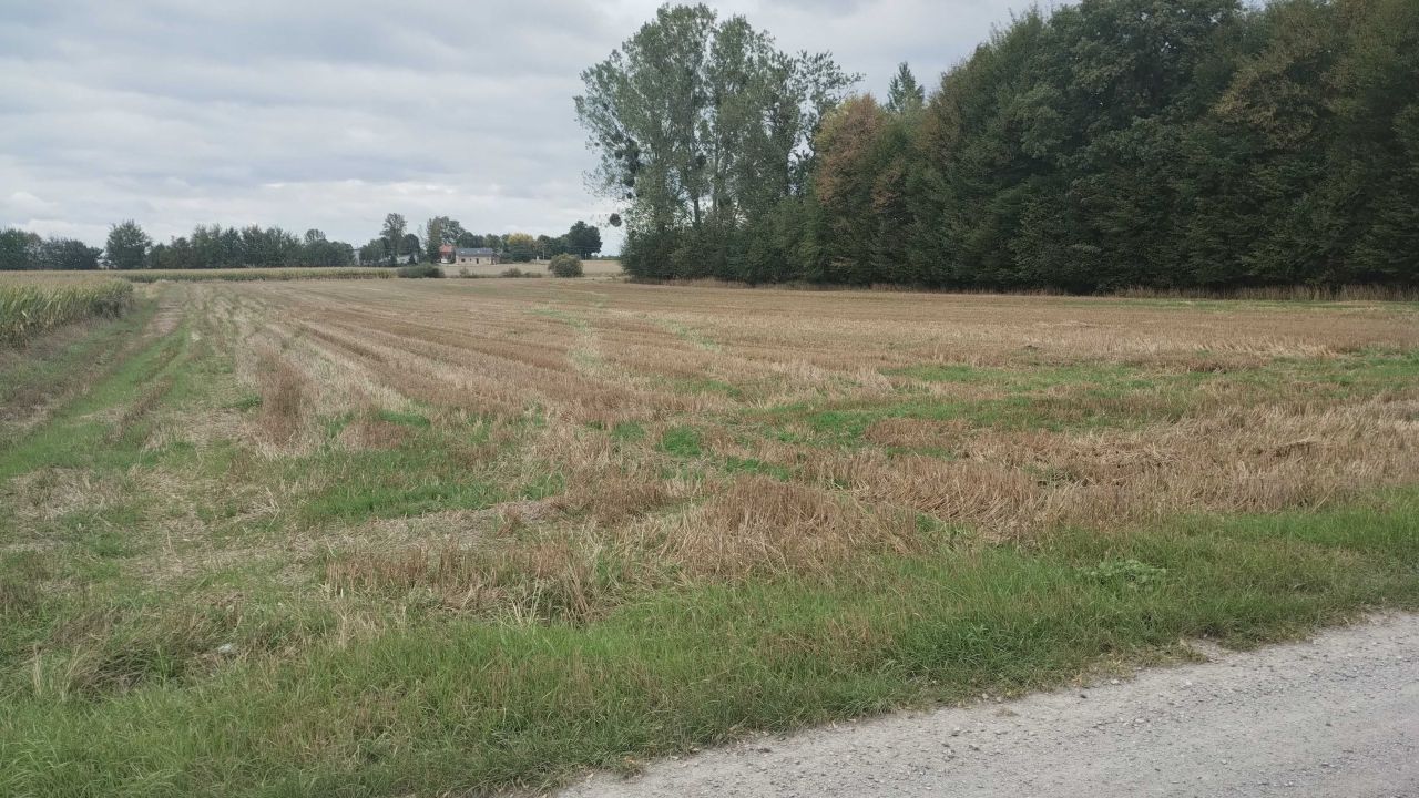 Działka rolno-budowlana Trębaczów. Zdjęcie 3