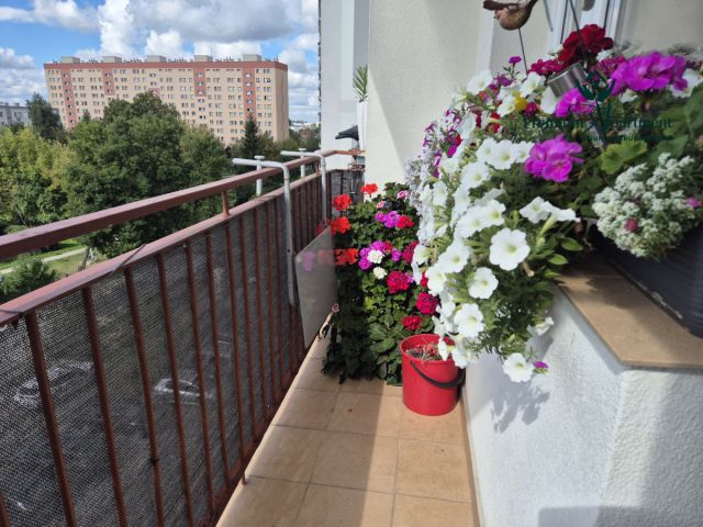 Mieszkanie 3-pokojowe Kielce KSM, ul. Daleka. Zdjęcie 18