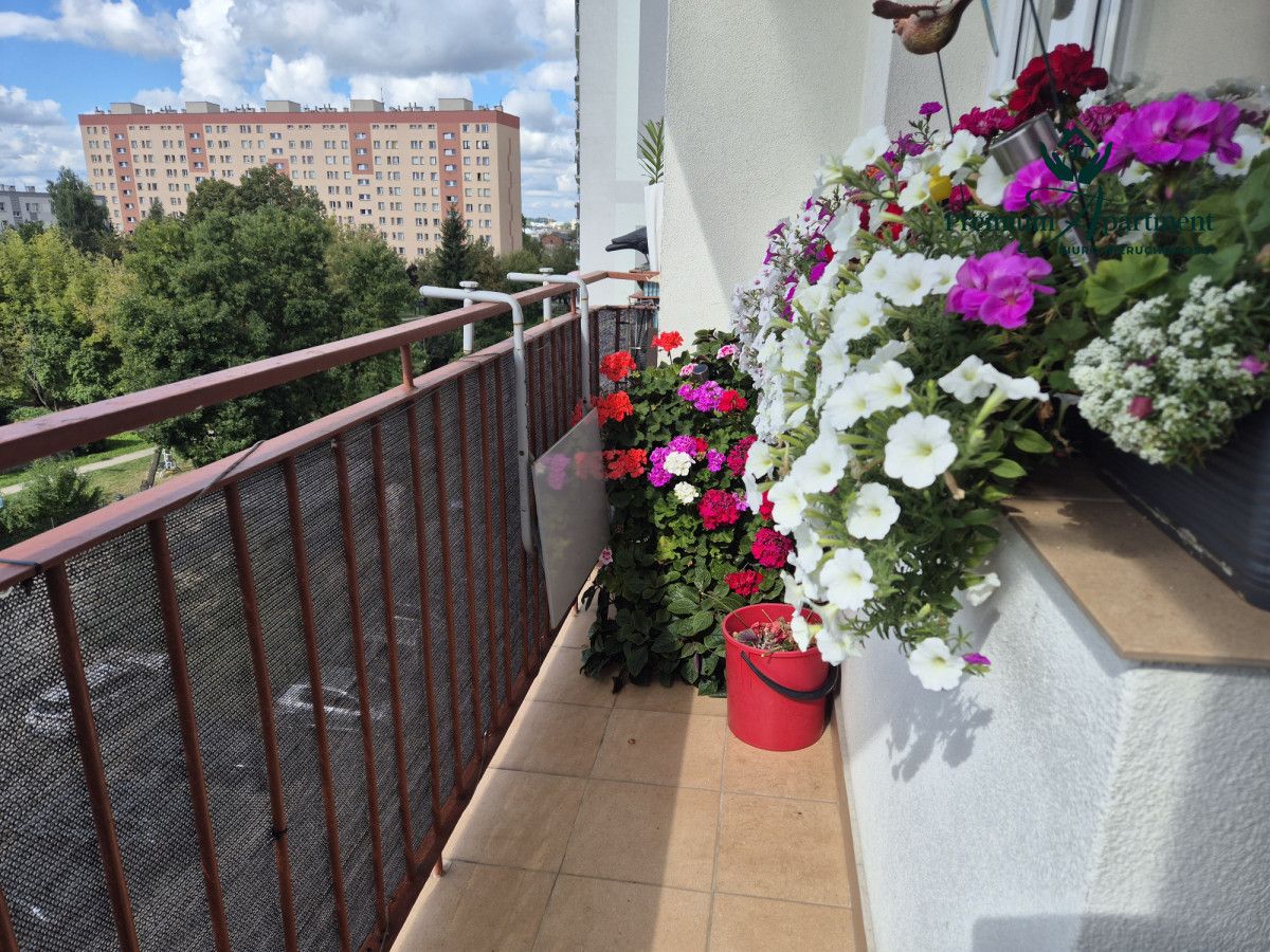 Mieszkanie 3-pokojowe Kielce KSM, ul. Daleka. Zdjęcie 18